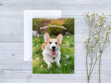 Load image into Gallery viewer, The Louie Collection: Greeting Card Set