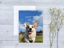 Load image into Gallery viewer, The Louie Collection: Greeting Card Set