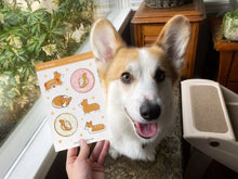 Load image into Gallery viewer, Corgi Love Vinyl Sticker Sheet