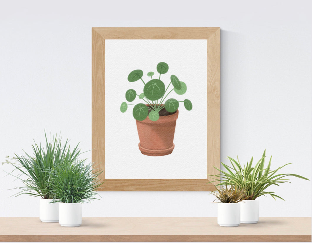 Pilea Plant Fine Art Print