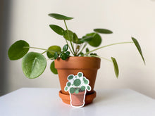 Load image into Gallery viewer, Pilea Potted Plant Vinyl Sticker