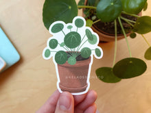 Load image into Gallery viewer, Pilea Potted Plant Vinyl Sticker