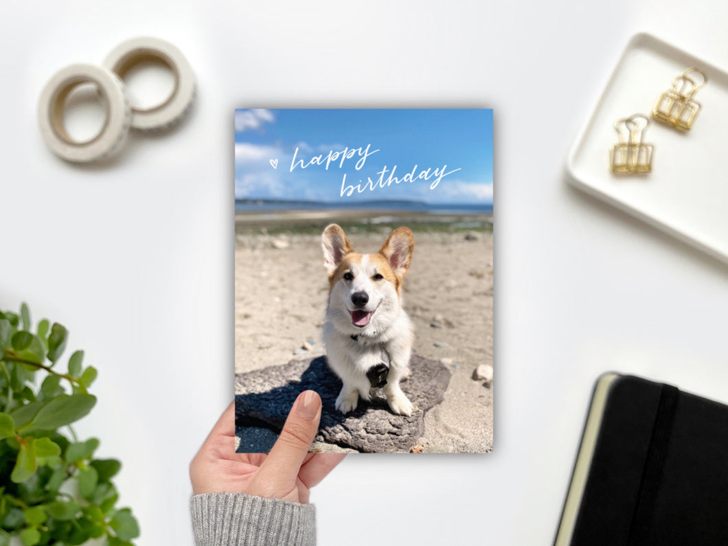 Louie Collection: Happy Birthday Beach Greeting Card