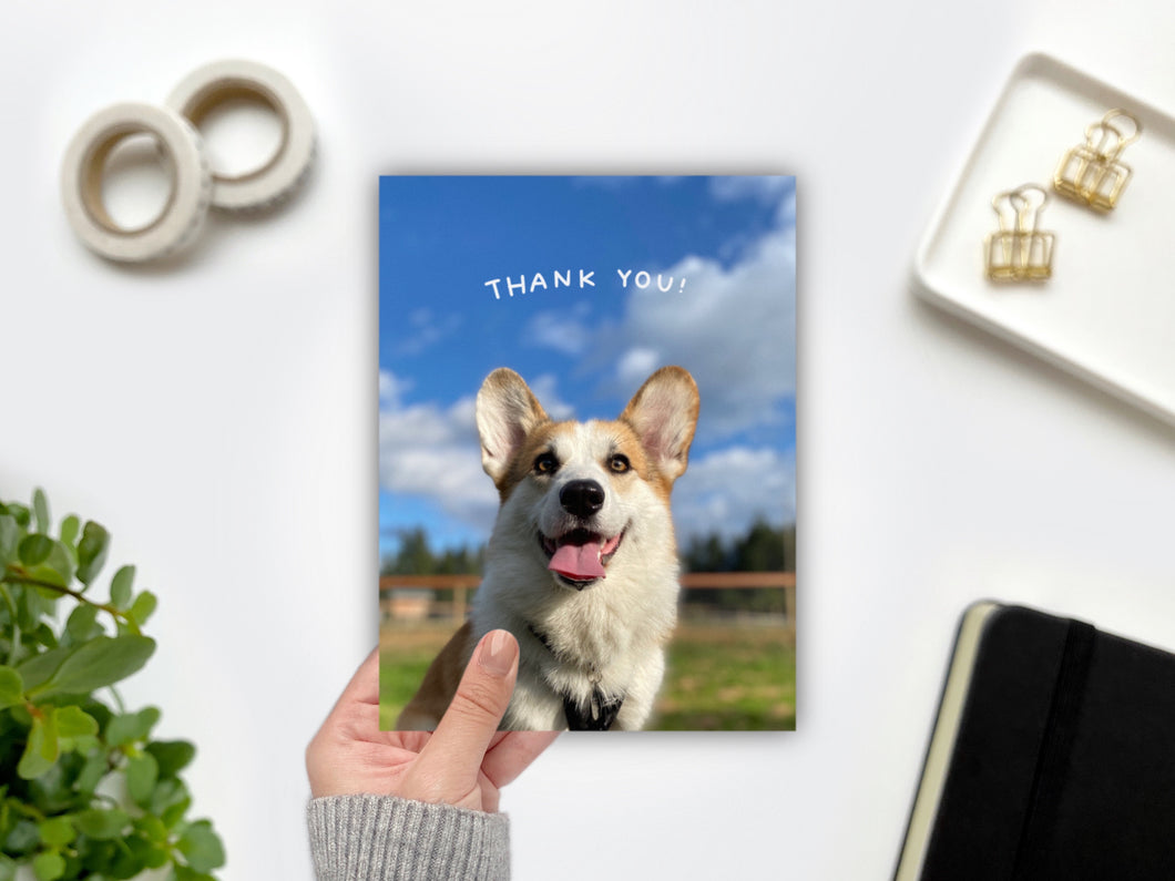 Louie Collection: Blue Skies Thank You Greeting Card