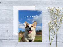 Load image into Gallery viewer, The Louie Collection: Greeting Card Set
