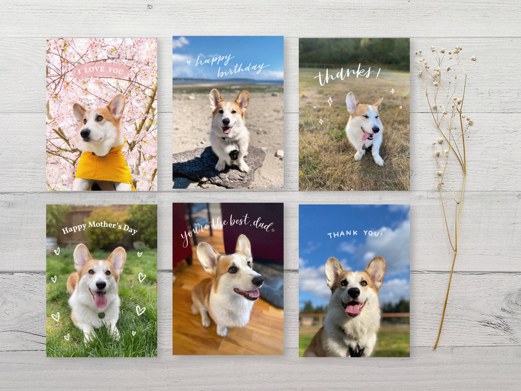 The Louie Collection: Greeting Card Set