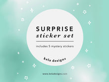 Load image into Gallery viewer, 5 for 5 Surprise Sticker Bundle
