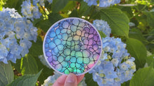 Load and play video in Gallery viewer, Holographic Hydrangea Vinyl Sticker
