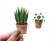 Load image into Gallery viewer, Sansevieria Potted Plant Vinyl Sticker

