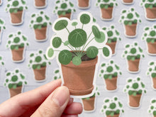Load image into Gallery viewer, Pilea Potted Plant Vinyl Sticker
